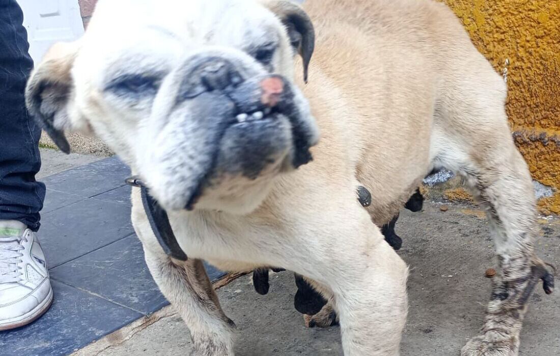 Wanda no murió en vano 
